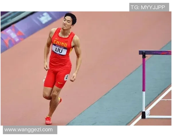 退役球员近况追踪