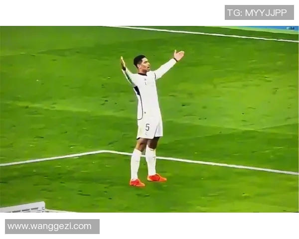 中场吊射破门点燃全场激情 球迷疯狂欢呼瞬间定格